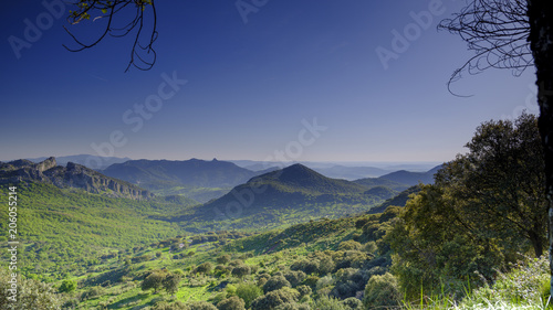 Fototapeta Zobacz w pobliżu Mirador Puerto del Boyar na A-372 między El Bosque i Grazalema, w Parku Naturalnym Sierra de Grazalema Park Naturalny Sierra de Grazalema), Andaluzja, Hiszpania