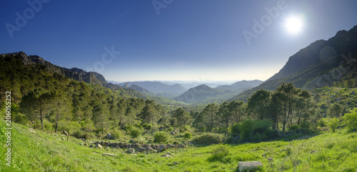 Fototapeta Zobacz w pobliżu Mirador Puerto del Boyar na A-372 między El Bosque i Grazalema, w Parku Naturalnym Sierra de Grazalema Park Naturalny Sierra de Grazalema), Andaluzja, Hiszpania