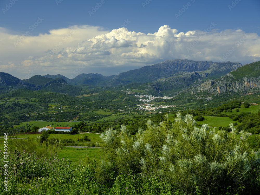 Views from the Mirador Mojan de la Vibora, within the Parque natural de la Sierra de Grazalema, Andalucia, Spain