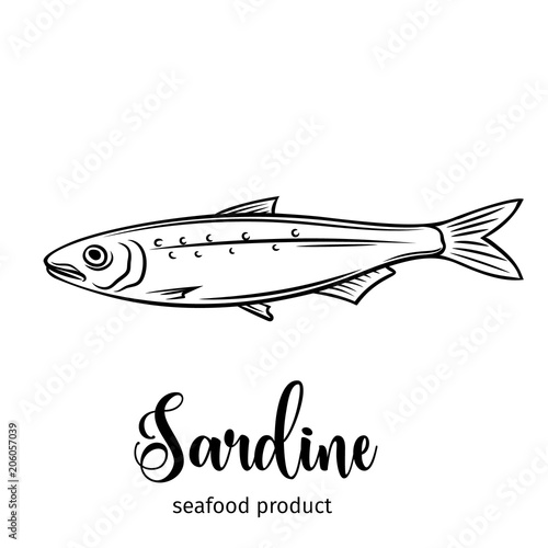 Vector sardine.