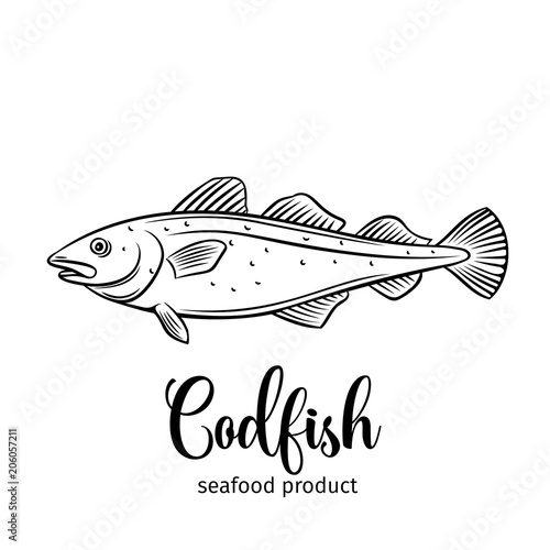 Vector codfish.