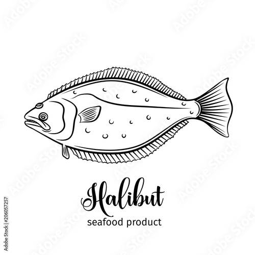 Vector halibut