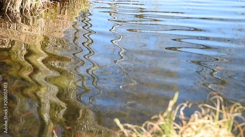 sanfte bewegende Wellen im Teich photo