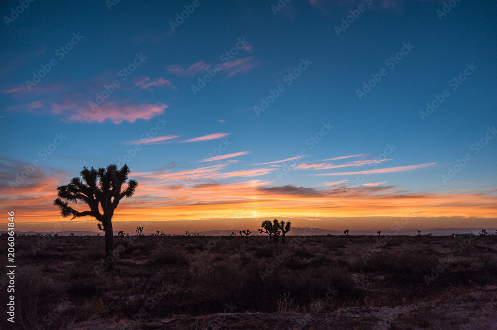 Desert sunset - California 