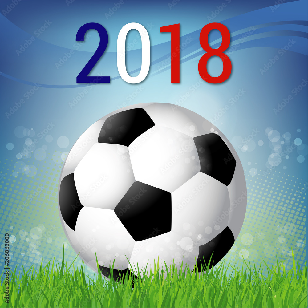 Fototapeta premium Coupe du monde de football
