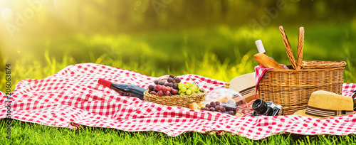 Picnic on a Sunny Day with Red Grapes and Wine