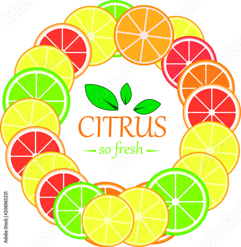 Collection of citrus slices - orange, lemon, lime and grapefruit, icons set, colorful isolated on white background.