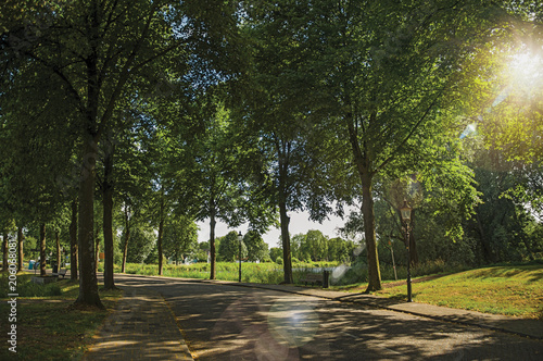 Street in the shade of leafy trees near canal with blue sky and sunset light at Weesp. Quiet and pleasant village full of canals and green near Amsterdam. Northern Netherlands. Retouched photo.
