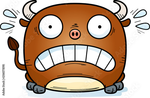 Terrified Little Bull