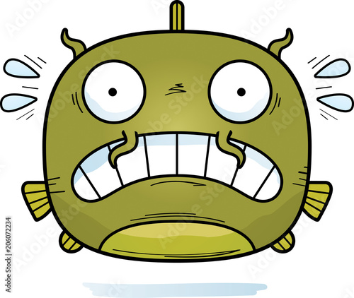 Scared Little Catfish