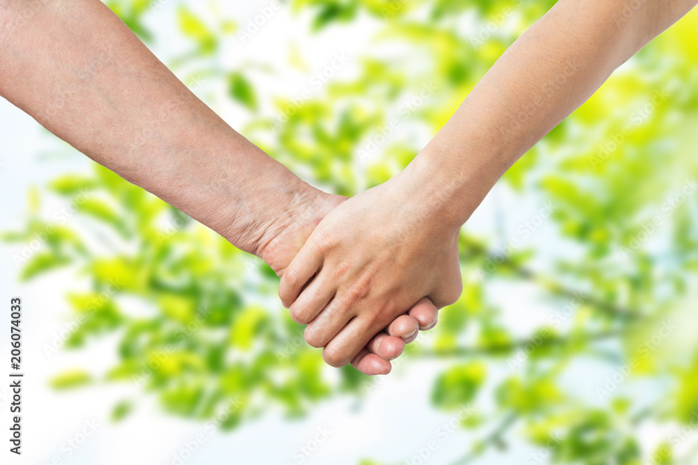 people, old age and generation concept - close up of senior and young woman holding hands over green natural background people, old age and generation concept - close up of senior and young woman holding hands over green natural background