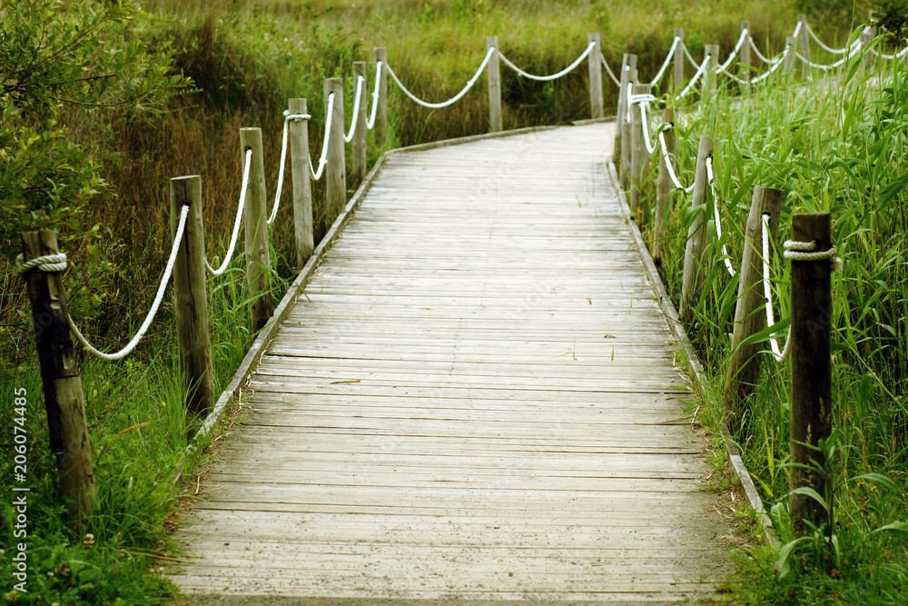 Fototapeta premium Wooden path
