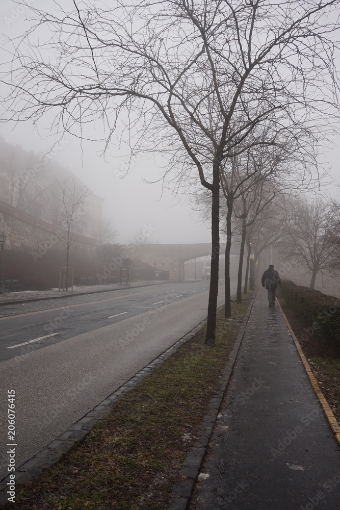 Calles de Budapest. Persona solitaria. Día de invierno Calles de Budapest. Persona solitaria. Día de invierno