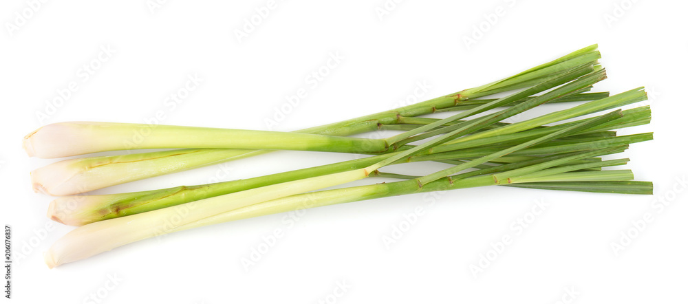lemon grass isolated on a white background lemon grass isolated on a white background