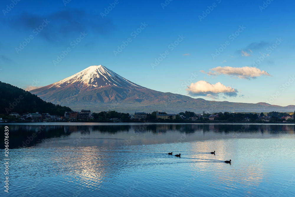 Mount Fuji at lake Kawaguchi at sunrise, Yamanashi,Japan. Fuji Mountain located on Honshu Island, is the highest mountain in Japan.