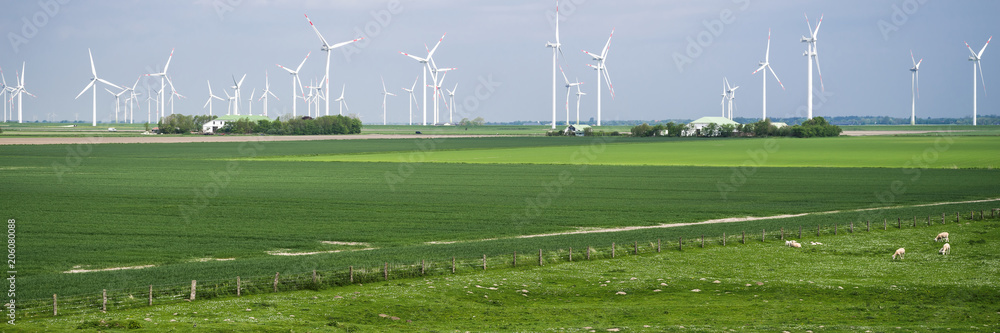 Fototapeta premium Nordseemarsch Koog mit Windkraft