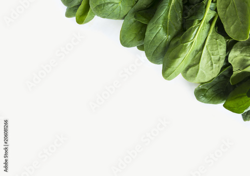 Green spinach at border of image with copy space for text. Top view. Spinach on a white background.