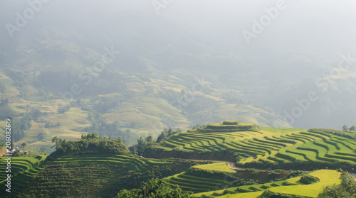 shinny rice terrace before sunset compare with mountain background in Sapa village, Vietnam 