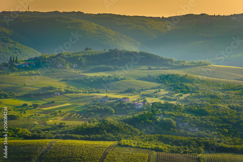 Croatia Istria region landscape. / Aerial view at green fields in Istria region, famous croatian travel places.