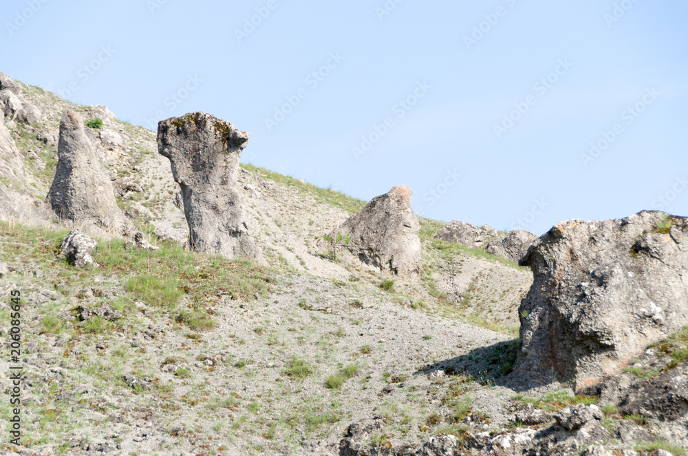 Natural phenomenon Stone Mushrooms