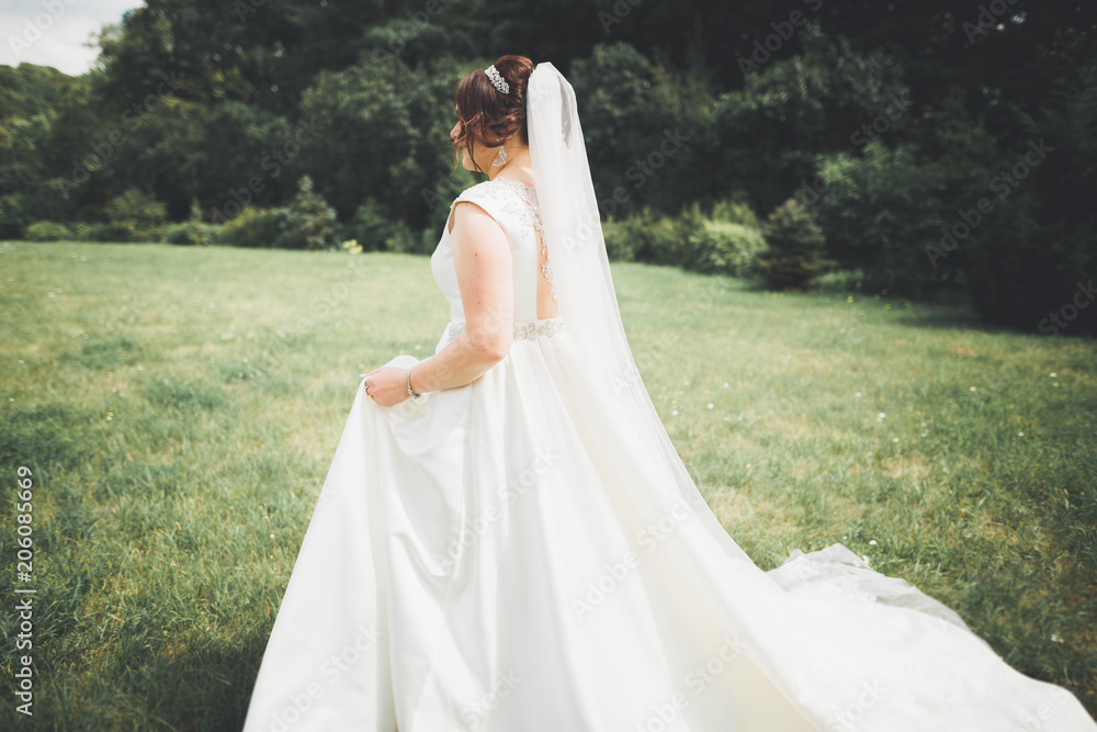 Beautiful luxury bride in elegant white dress Beautiful luxury bride in elegant white dress