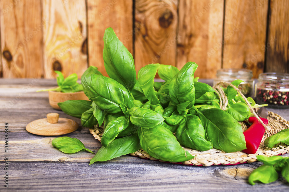 green basil leaves on an old wooden background