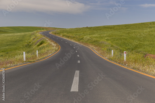 New asphalt road among the spring fields © alexmu