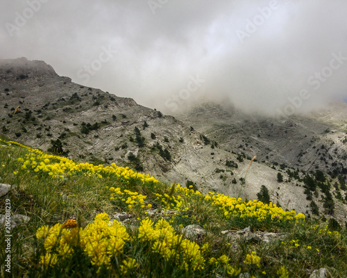 Obraz na płótnie Olimp mountains
