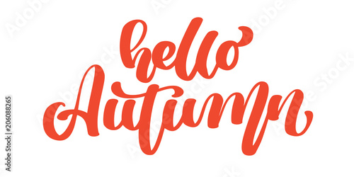 Hello autumn hand lettering phrase on orange Vector Illustration t-shirt or postcard print design, vector calligraphy text design templates, Isolated on white background