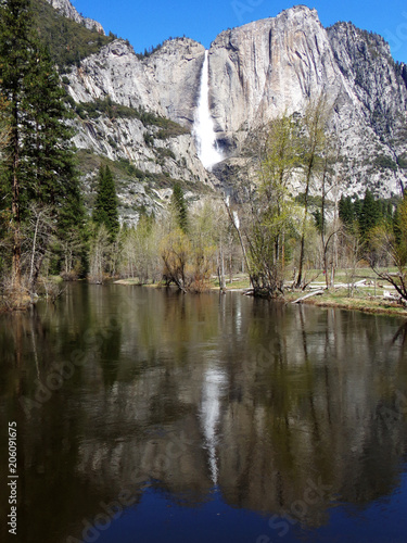 Fototapeta Naklejka Na Ścianę i Meble -  Yosemite Waterfall reflected in the water of a lake - US National Park, California 
