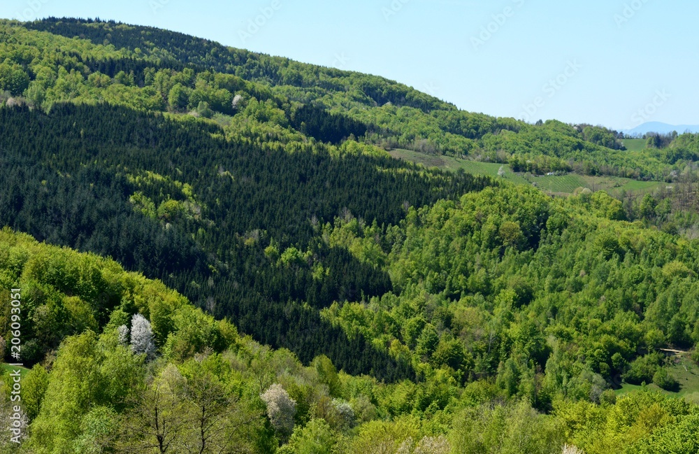 landscape of the hill