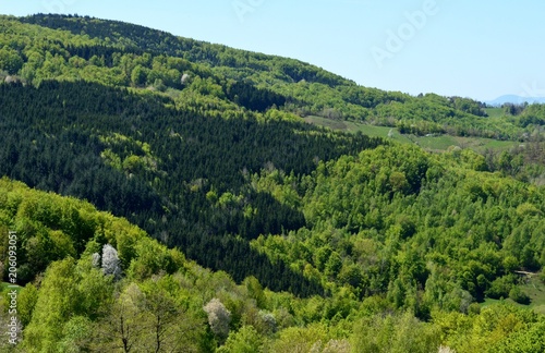 landscape of the hill
