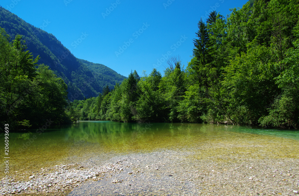 Naklejka forest and river