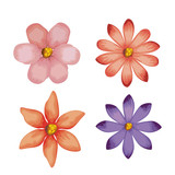 beautiful flowers set decorative icon vector illustration design