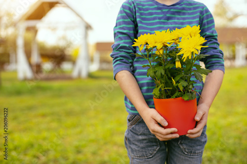 Floristic culture. Beautiful yellow flowers being in hands of a nice positive boy