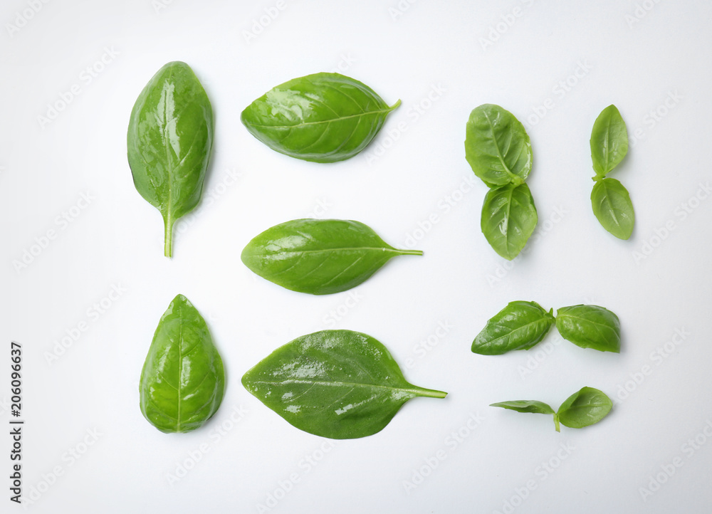 Obraz premium Fresh green basil leaves on white background, top view