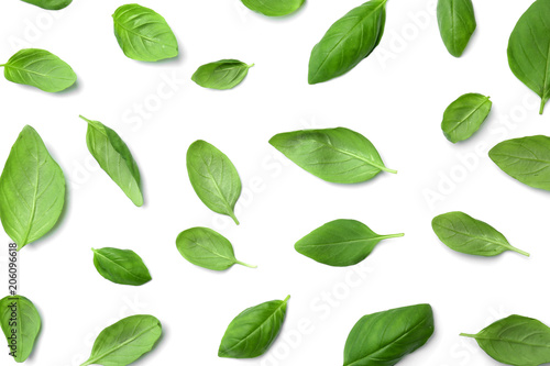 Fresh green basil leaves on white background  top view