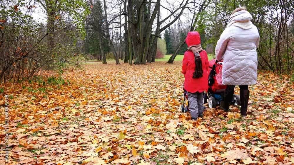 Daughter with her mother wheeled strollers on the yellow leaves Daughter with her mother wheeled strollers on the yellow leaves