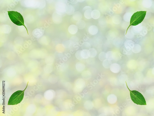 Green leaves at the corners with green bokeh background (from blur tree branches and leaves in summer). Use as presentation frame or template in concept of environmental friendly.