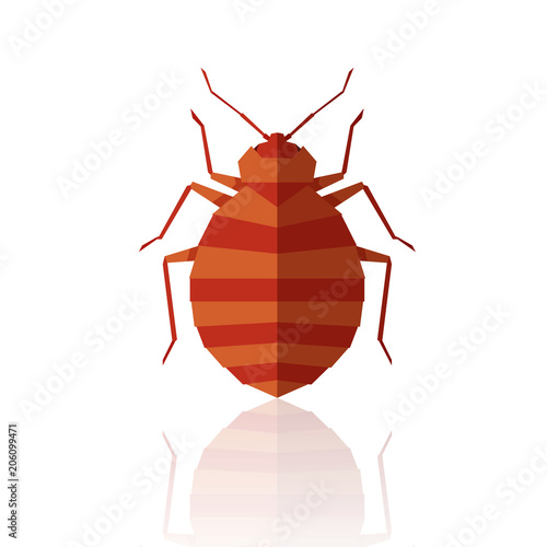 Flat geometric bedbug