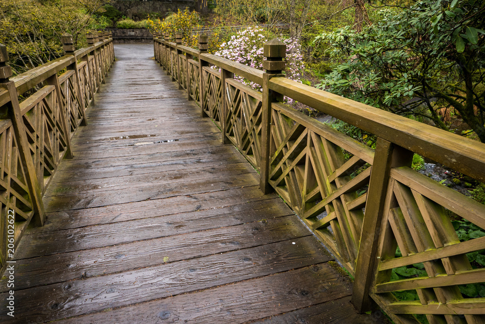 A wooden bridge in Portland's Crystal Springs Rhododendron Garden, Oregon