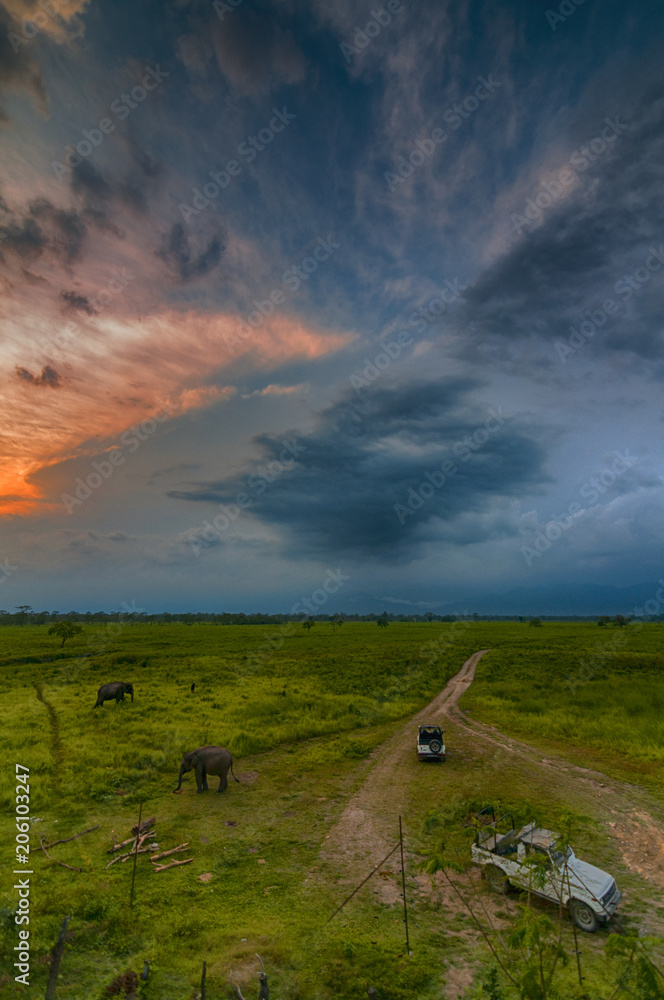 Fototapeta premium kuri beel camp, manas national park