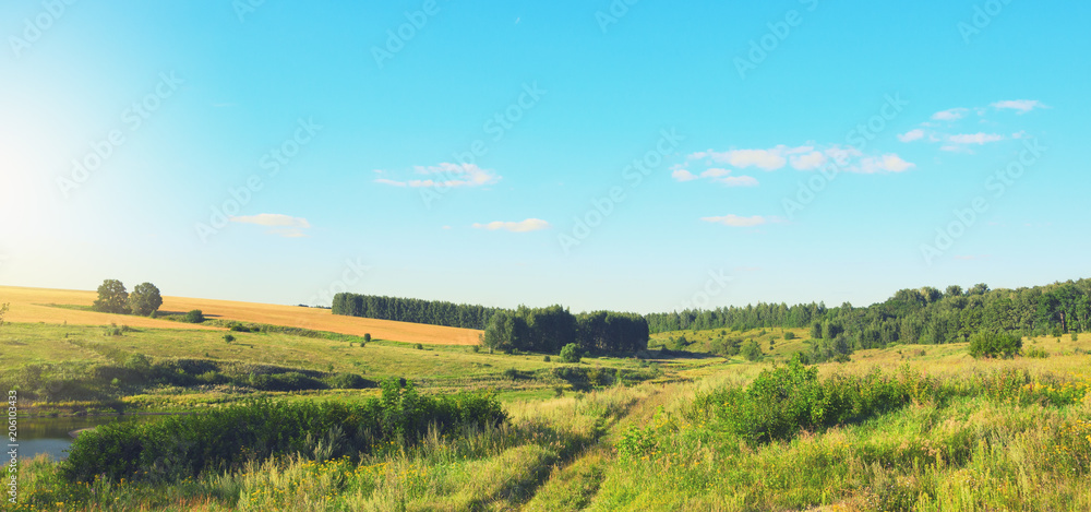 Panoramic view of field of ripe wheat and green hills with growing trees.Sunny summer scene with ground country road.