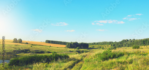 Panoramic view of field of ripe wheat and green hills with growing trees.Sunny summer scene with ground country road.