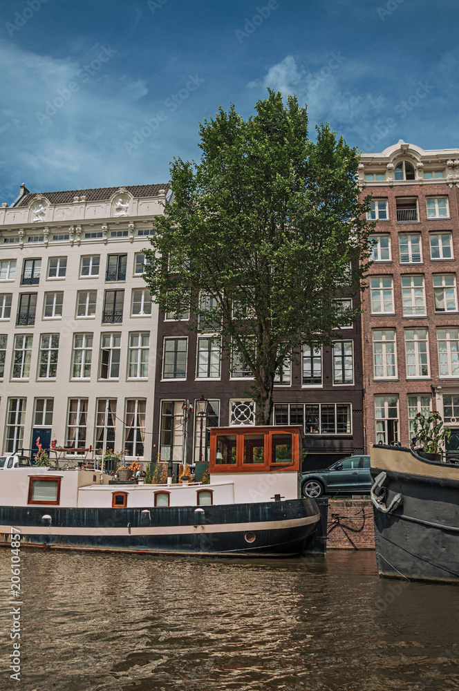 Boats moored at side of tree-lined canal, old buildings and sunny blue sky in Amsterdam. The city is famous for its huge cultural activity, graceful canals and bridges. Northern Netherlands.