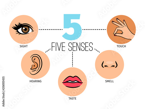 Five human feelings. Mouth or lips, hand and nose, eye and ear icons, sight and smell, touch, hearing and taste senses