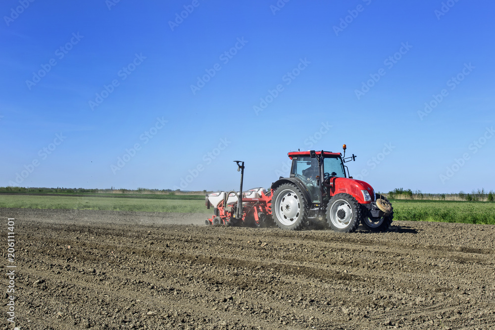 Fototapeta Traktor sieje kukurydzę