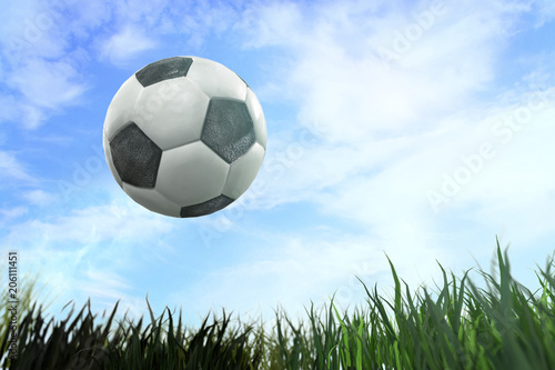 3D Illustration of a Soccer ball in arena  
