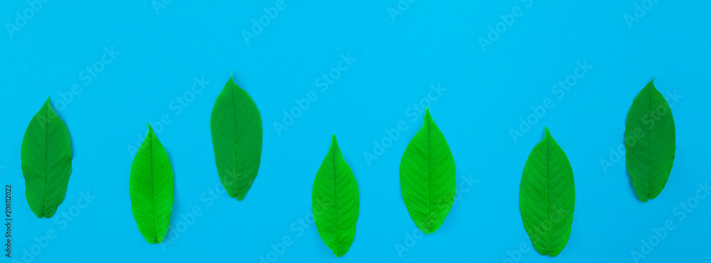 Flat lay pattern with fresh green leaves Flat lay pattern with fresh green leaves