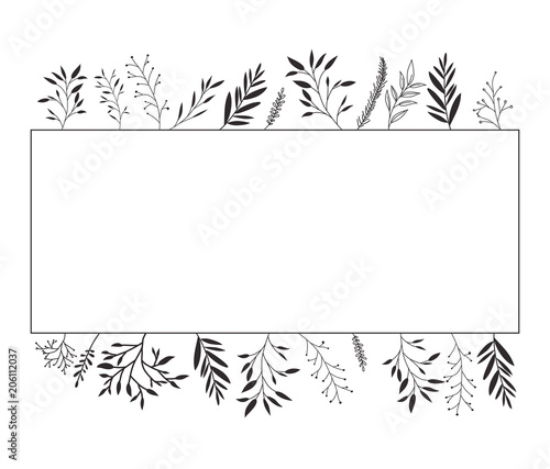 flower and leafs decorative square frame vector illustration design